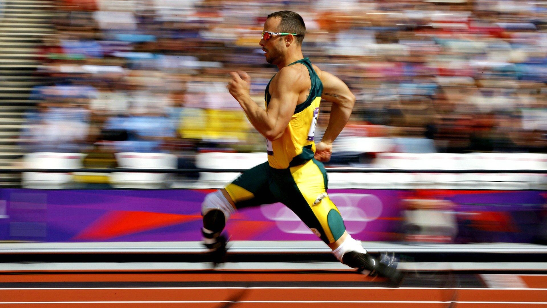 开运app官网-_未来智慧体育馆：科技赋能全民健身_，未来体育馆概念设计